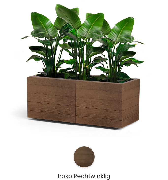 Iroko-Rechtwinklig